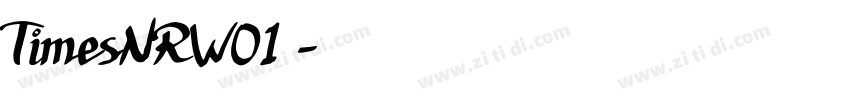 TimesNRW01 字体转换